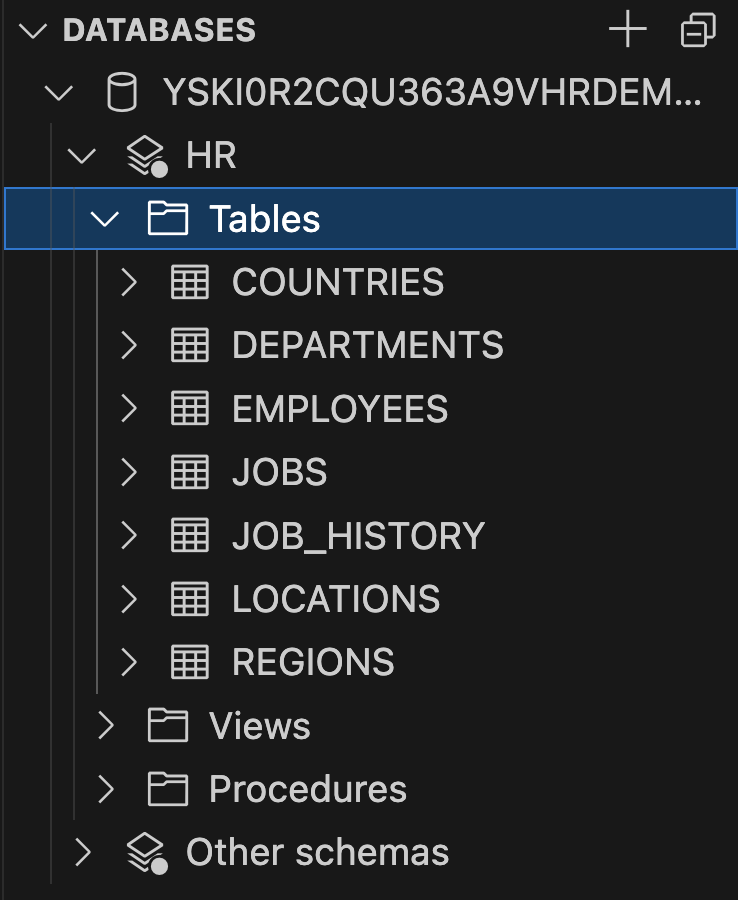 View the database schema