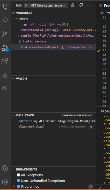A screenshot of the debugging function in the Run section.