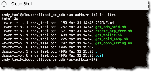 Screenshot that shows the preceding files in the Cloud Shell.