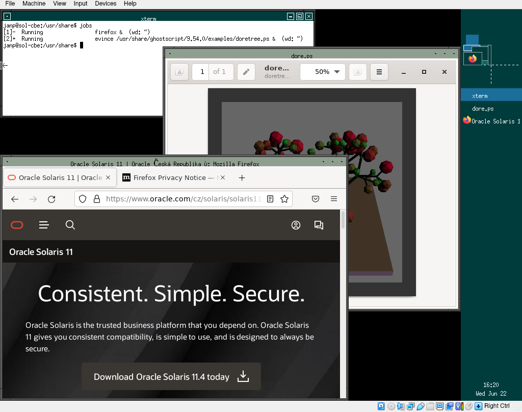 Oracle Solaris CBE with FVWM, Firefox and Evince