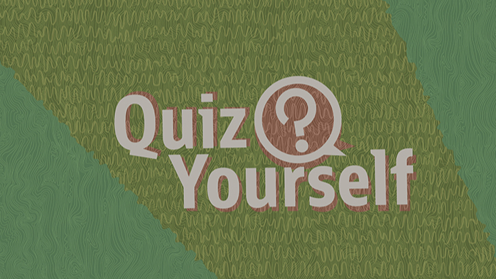 Quiz yourself: Deserializing objects that have a nonserializable parent