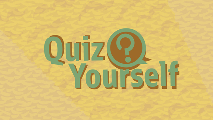 Quiz yourself: Serializing a primitive with ObjectOutputStream