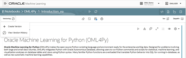 OML Notebook versioning