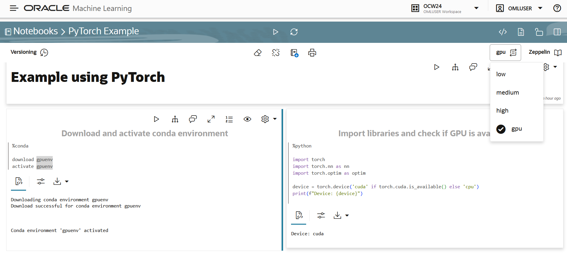 OML Notebooks showing gpu service level
