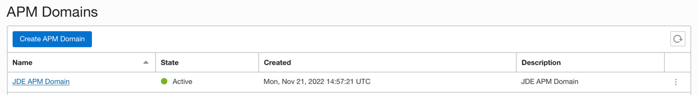 JDE APM Domain