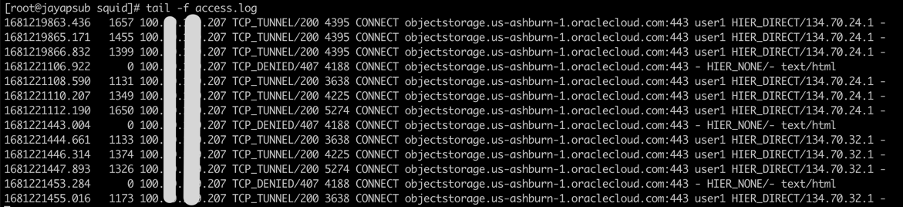 Figure 9: Example proxy log