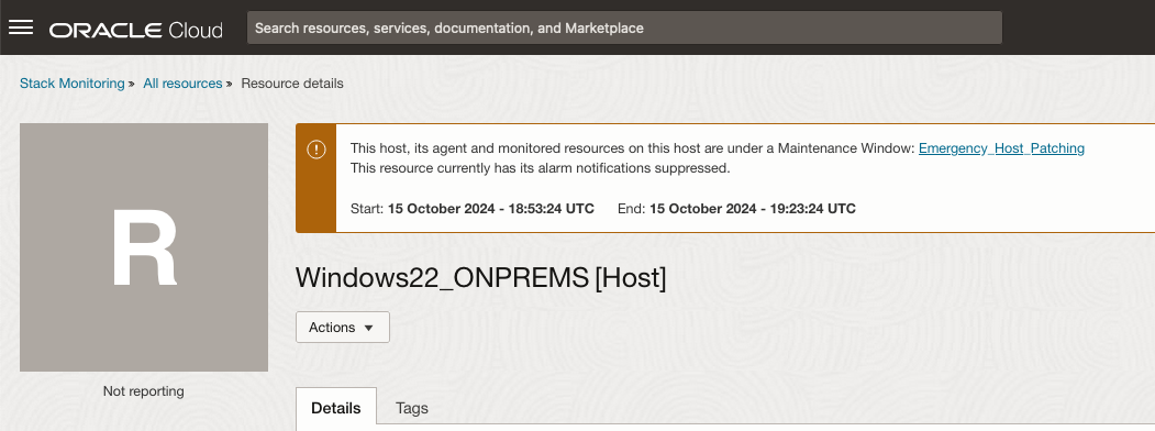 Image 4: Home page of a resource currently in an active Maintenance Window