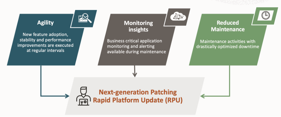Rapid Platform Update
