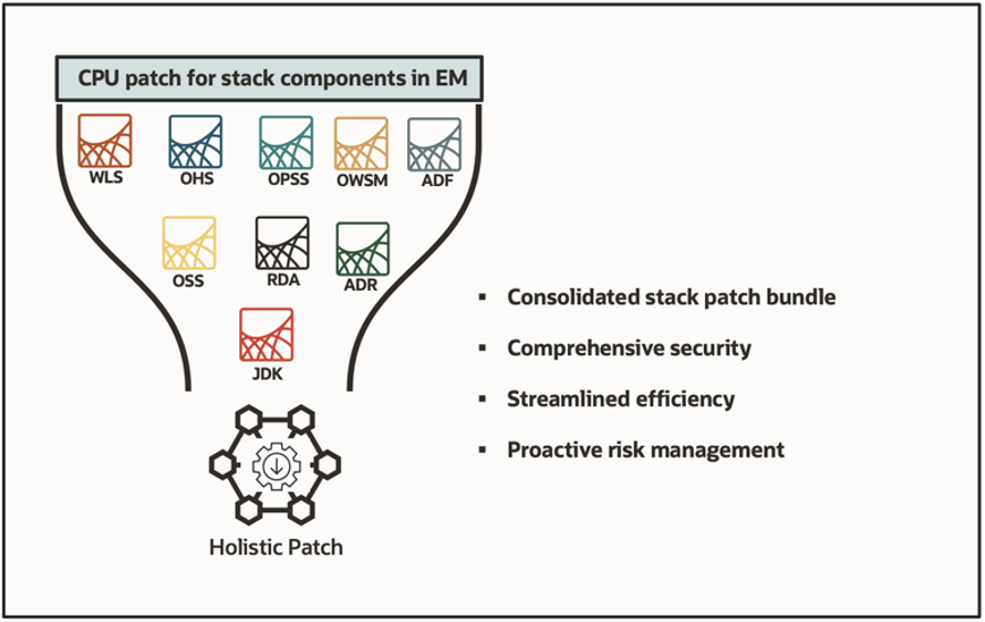 Holistic Patch - Overview 
