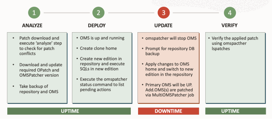 Figure 4: Rapid Platform Update Patching stages