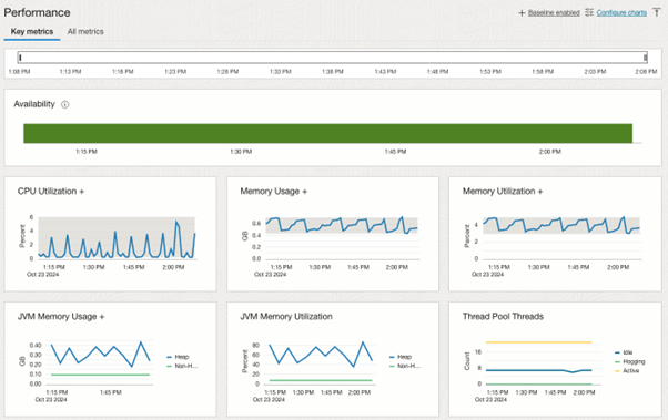 mage 4: WebLogic home page showing performance charts