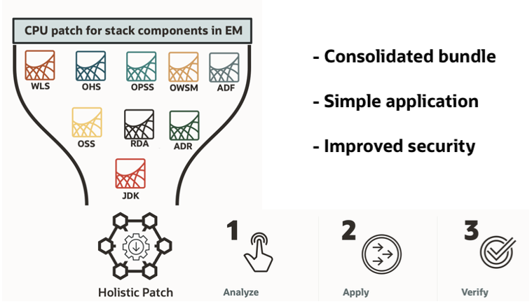 Holistic Patch