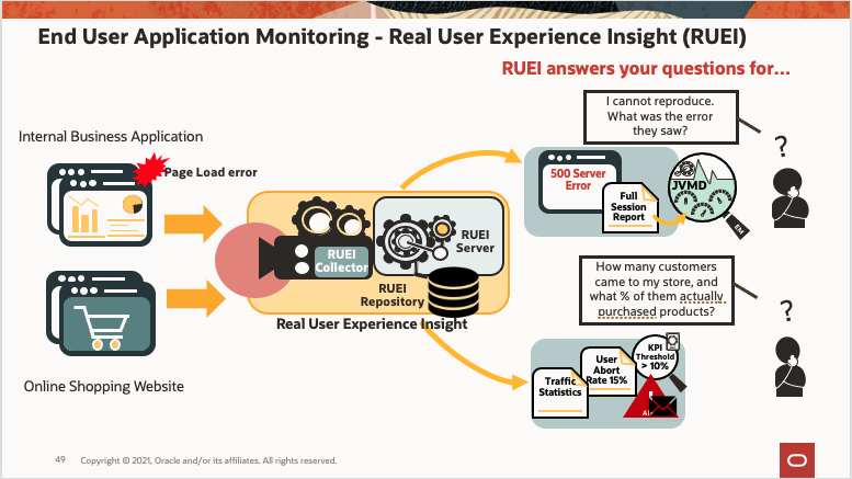 RUEI slide image