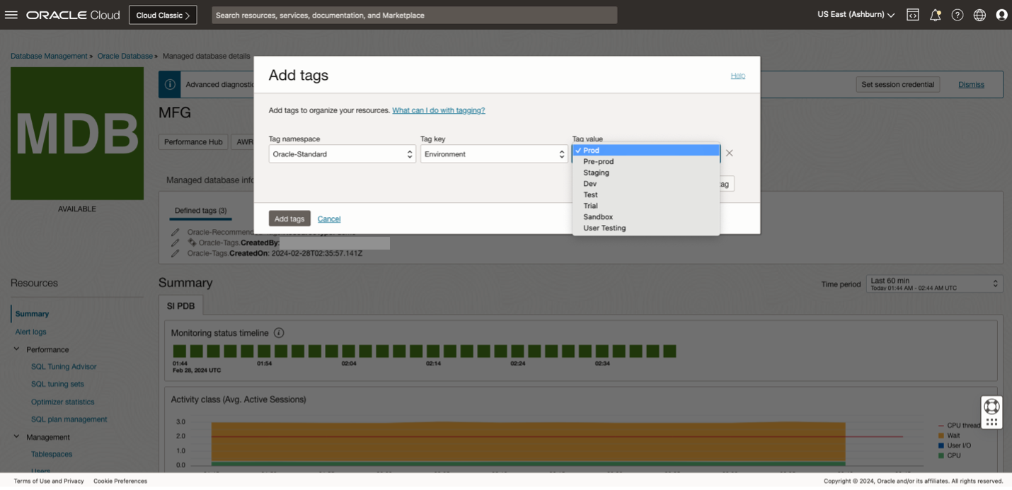 Figure 4:  Adding tags to a database resource