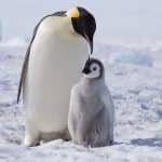 Oracle Linux Enhanced Diagnostics: lastboot – Analyze the previous reboot