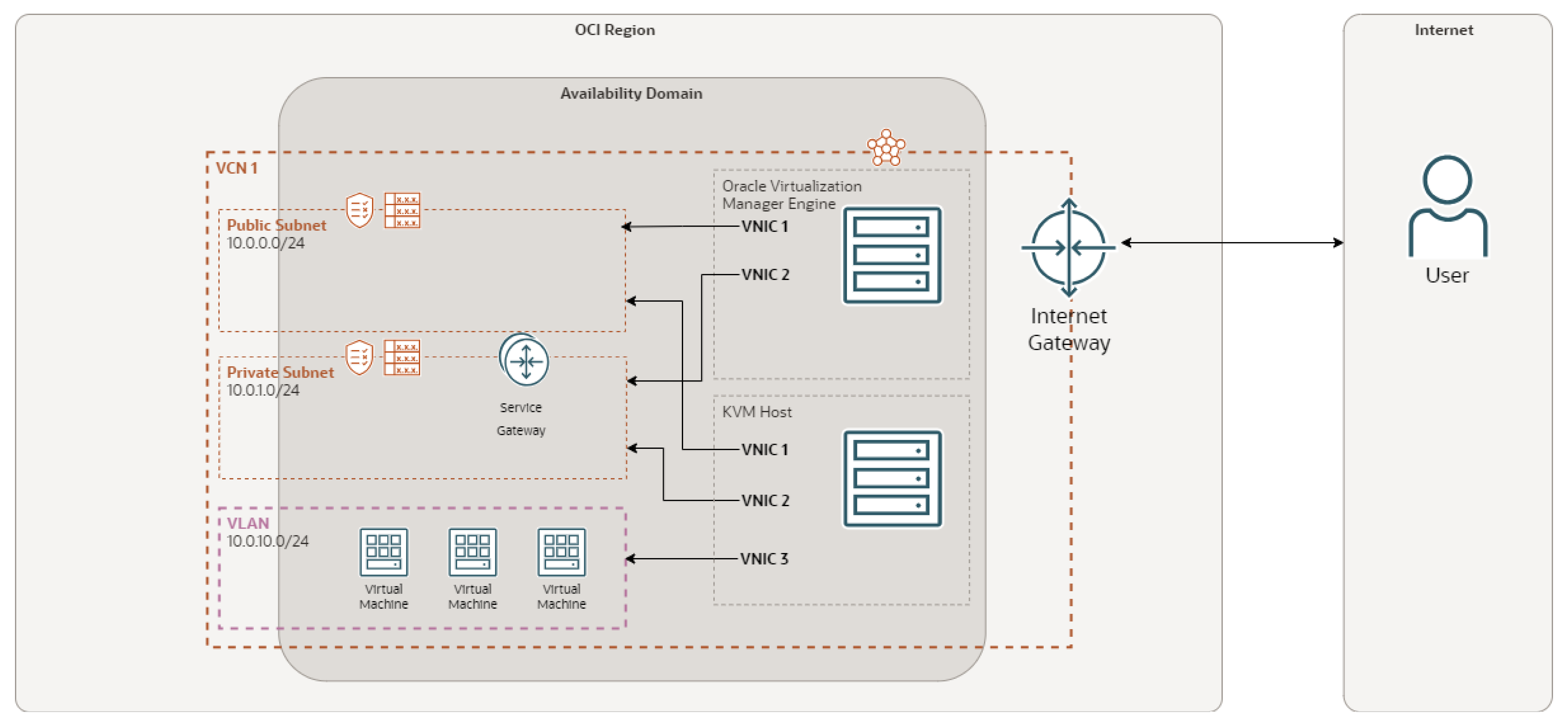 Oracle Virtualization Manager graphic