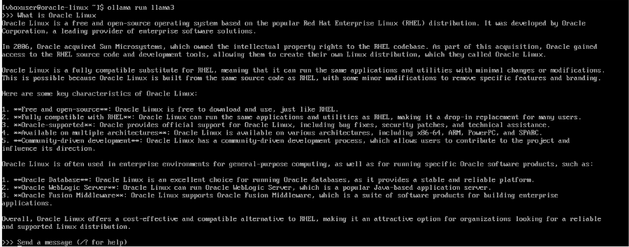 output from testing different prompts with an llm in ollama