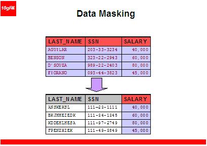 Datamasking: 