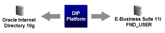 DIP synchronization OID + Release 11i: