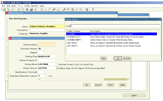 Gather Schema Statistics Screenshot: 