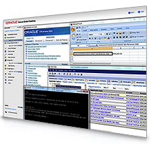 Screenshot of Oracle Secure Global Desktop