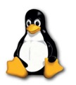 linux-penguin.jpg