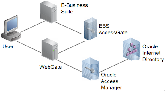 Architecture diagram showing Oracle Access Manager Oracle Internet Directory E-Business Suite AccessGate WebGate