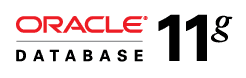 Oracle 11g Database logo
