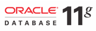 Oracle Database 11g logo: Oracle Database 11g logo 