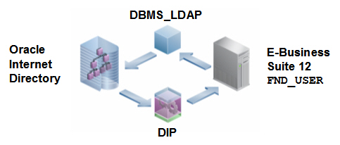 Release 12 OID Integration: Diagram showing synchronization integration between E-Business Suite Release 12 and Oracle Internet Directory 10g via DIP and DBMS_LDAP 