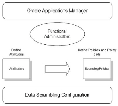 Configuring Data Scrambling1: Flow diagram showing data scrambling policy definition process 