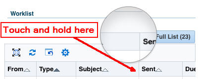 Resizing a column on an iPad (showing magnifier)