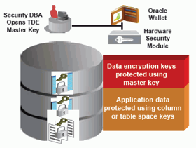 TDE Key Management architecture