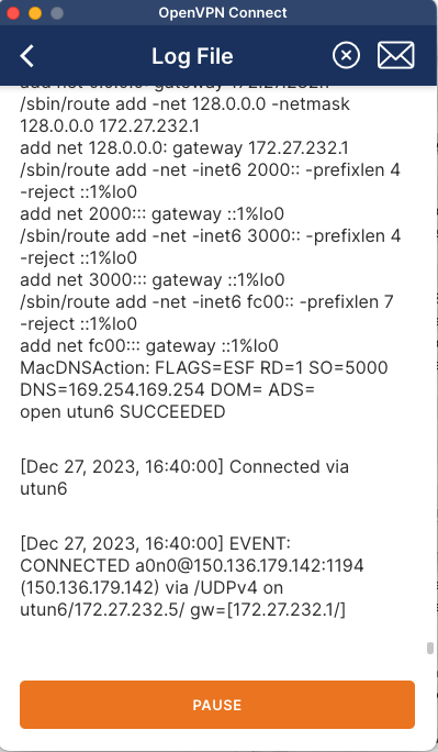 OpenVPN Client Logfile