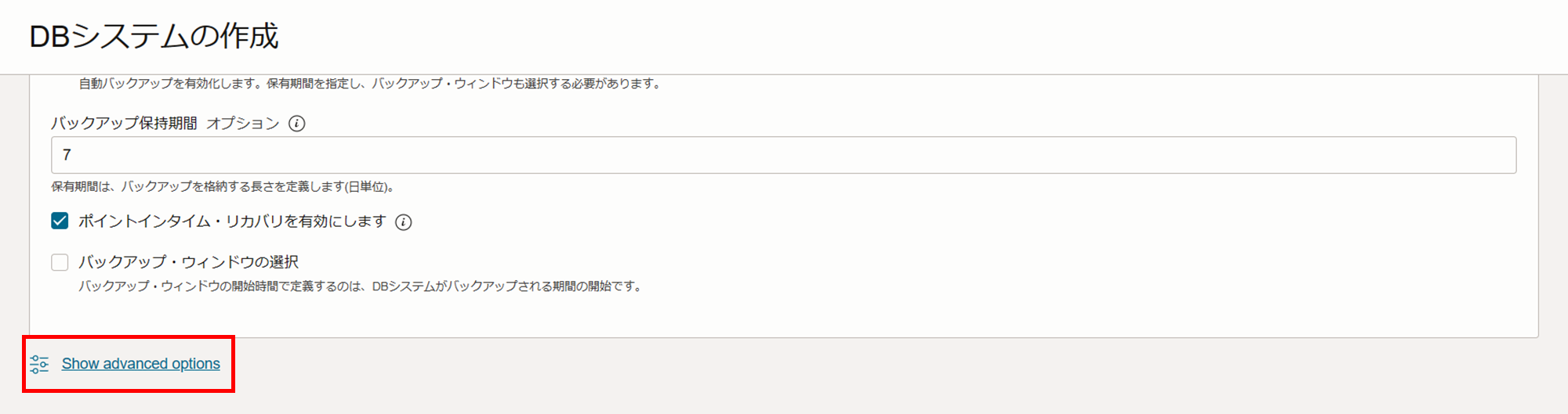 図 1: DB システムの作成 advanced options