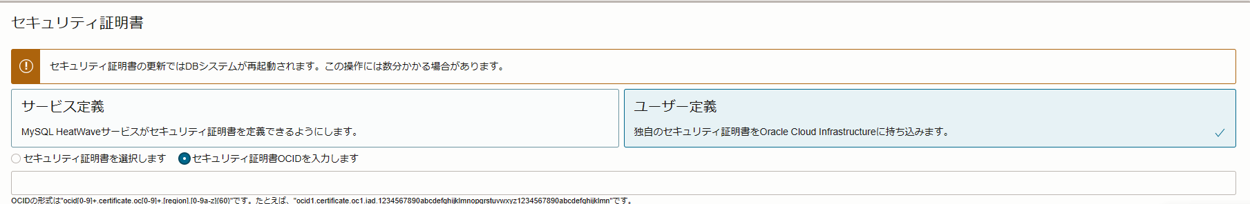 図 7: DB システムの更新、セキュリティ証明書の選択