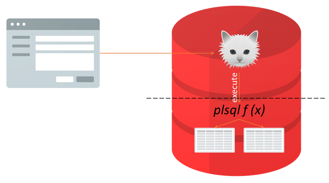 An app connecting to the database as a user which has execute privileges on a PL/SQL function in another schema