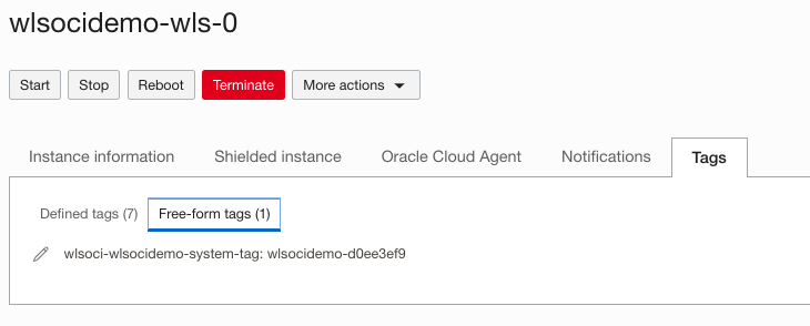 OCI compute instance free form tags