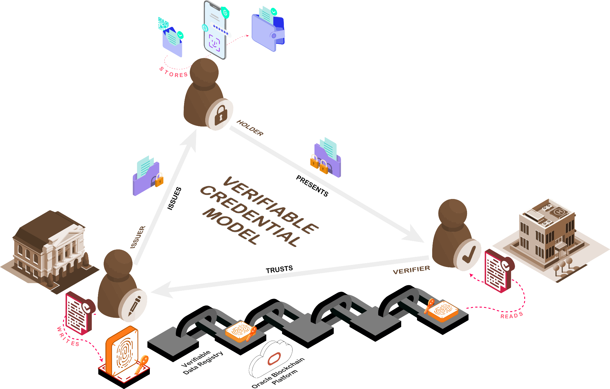 SSI Interactions in the Trusted Triangle of Issuer-Holder-Verifier underpinned by Oracle Blockchain Platform VDR