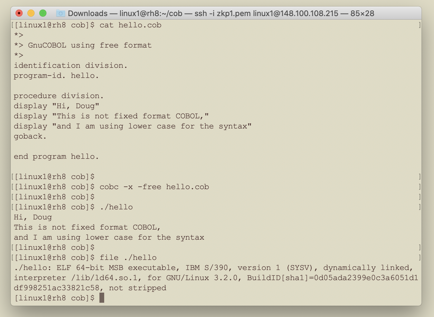 GnuCOBOL on IBM LinuxONE