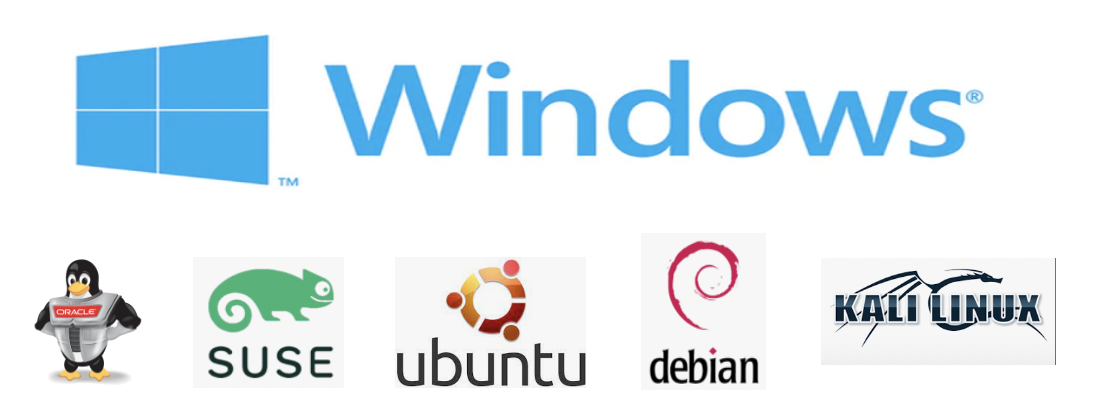 Using Linux on Windows