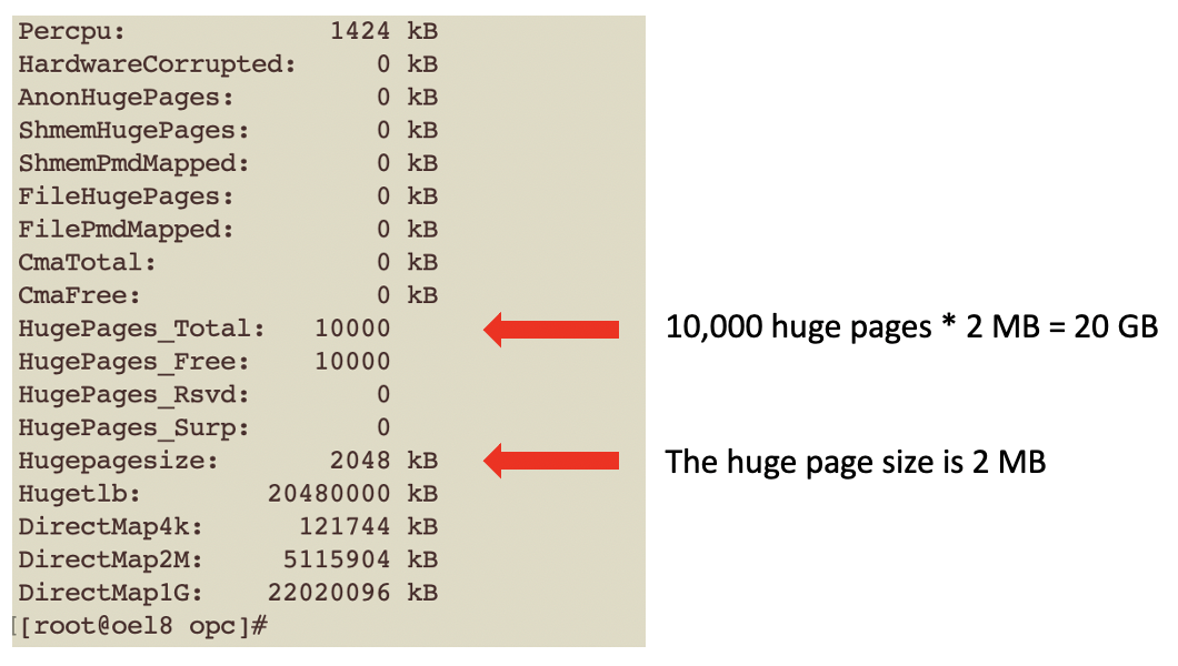 Linux with 20 GB huge pages
