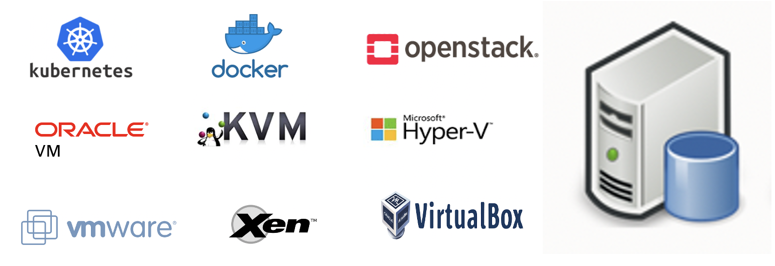 TimesTen XE platforms
