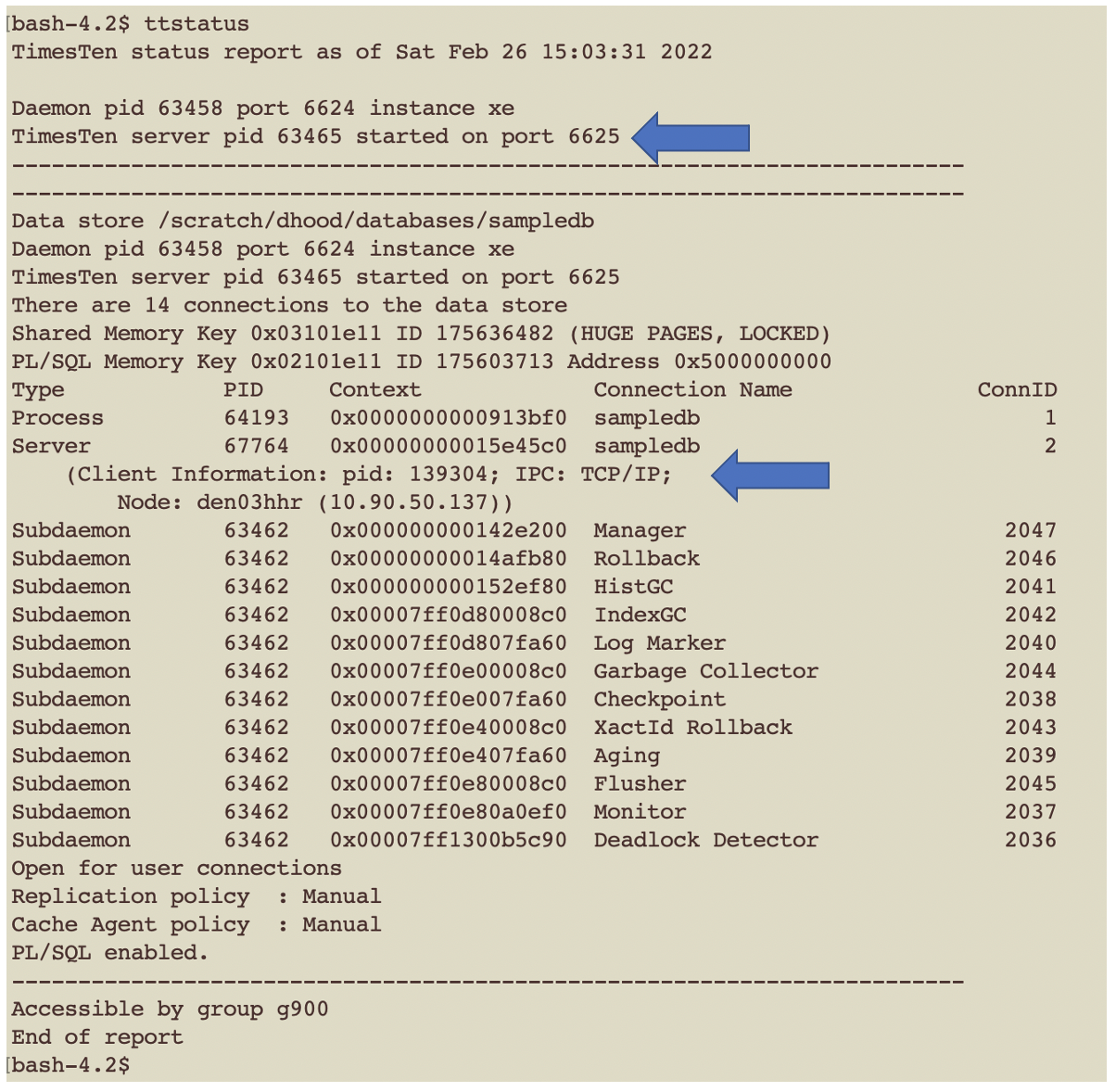 TimesTen XE ttStatus