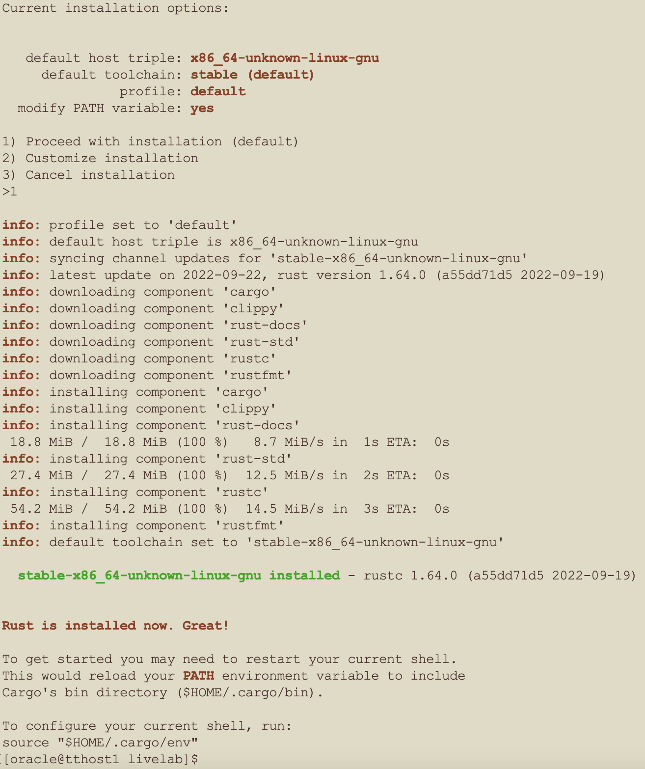 Rust install - more output