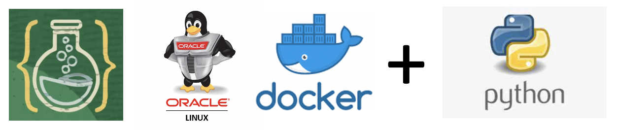 Install python3 in LiveLab container