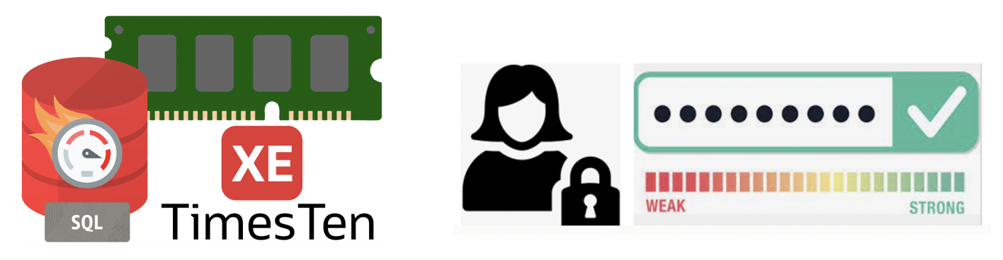 TimesTen XE SQL Profiles