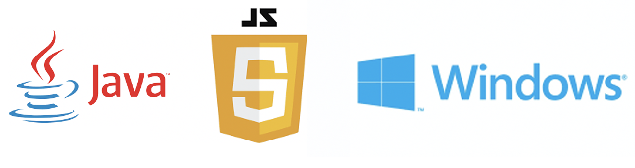 Java, JavaScript and Windwos use UTF16