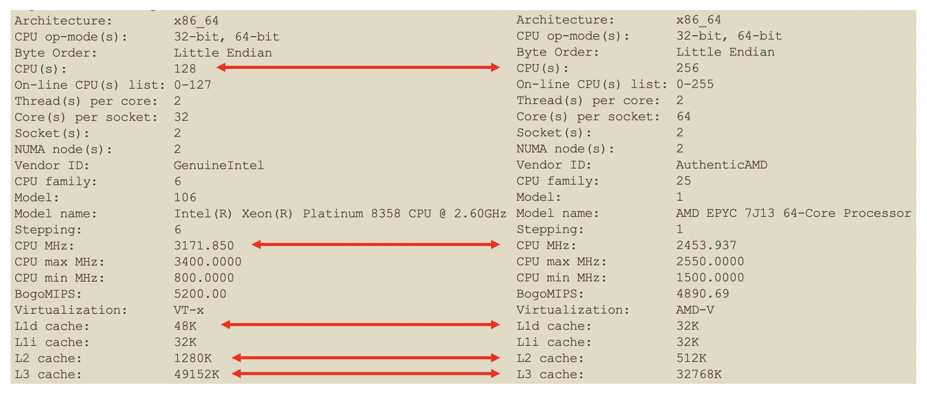 lscpu for Xeon and EPYC CPUs