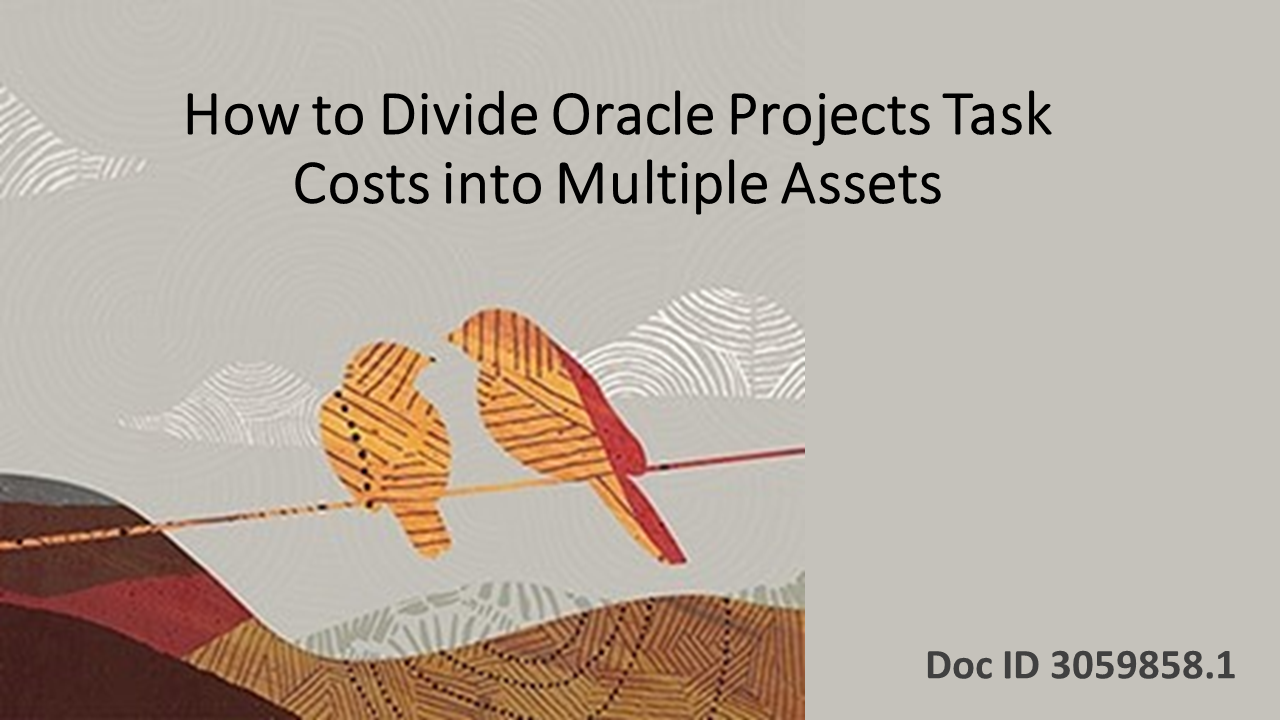 How to Split Oracle Projects Task Costs Into Multiple Assets